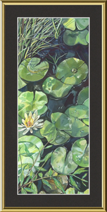 Lily Pond Botanical Fine Art Framed Giclée Print