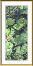 Load image into Gallery viewer, Lily Pond Botanical Fine Art Framed Giclée Print