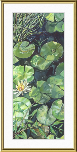 Lily Pond Botanical Fine Art Framed Giclée Print