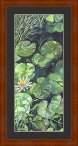 Lily Pond Botanical Fine Art Framed Giclée Print