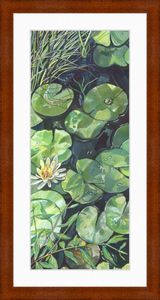 Lily Pond Botanical Fine Art Framed Giclée Print