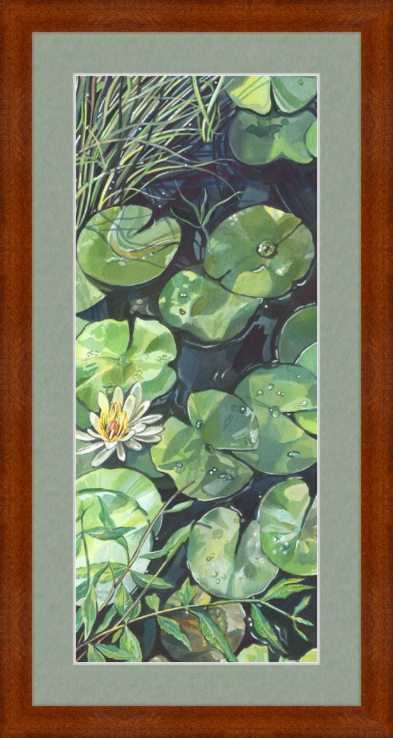 Lily Pond Botanical Fine Art Framed Giclée Print