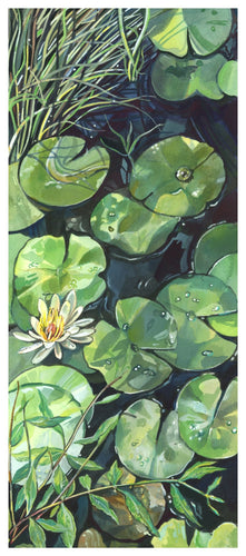 Lily Pond Botanical Fine Art Giclée Print - Melissa Rothman Portraiture