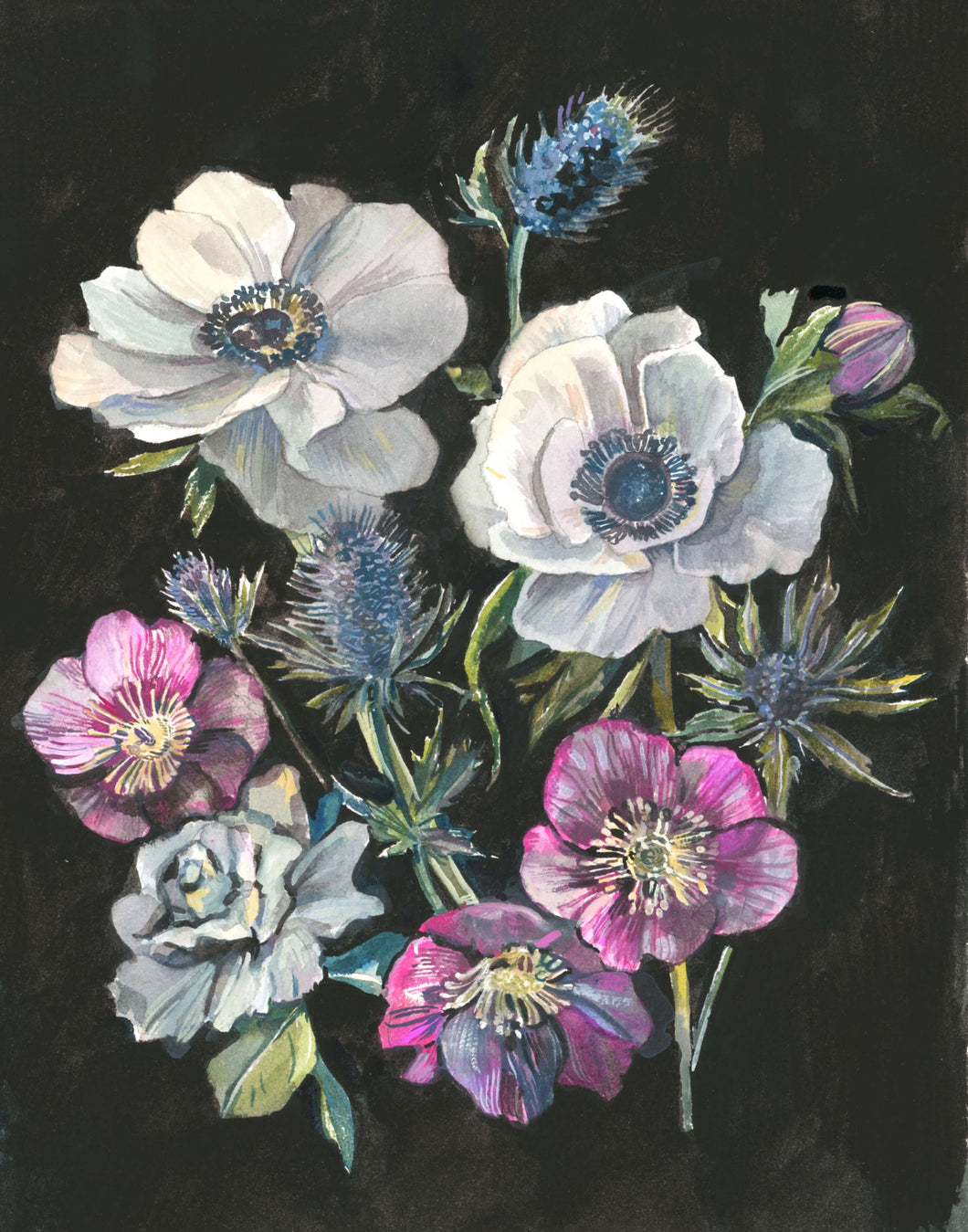 Anemone, Hellebore, & Thistle Botanical Giclée Print - Melissa Rothman Portraiture