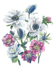 Load image into Gallery viewer, Botanical Watercolor Art Featuring Hellebore, Thistle, Anemone