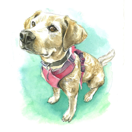 Custom Watercolor Pet Portrait Painting - Melissa Rothman Portraiture