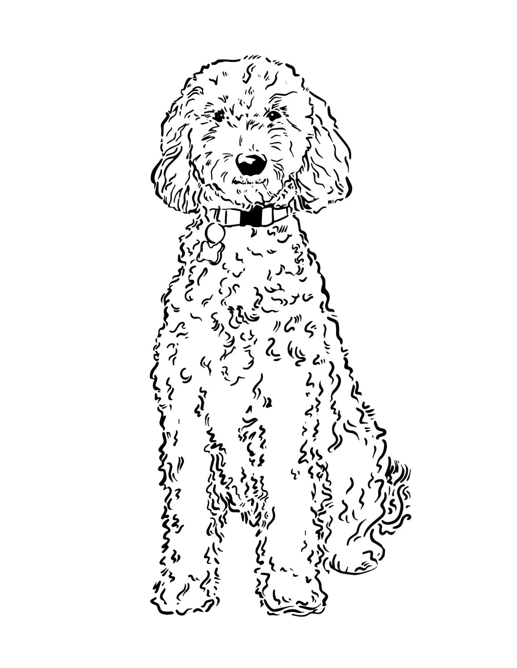 Poodle, Labradoodle Pet Portrait (Digital Vector Download/ Single Use Commercial License) - Melissa Rothman Portraiture